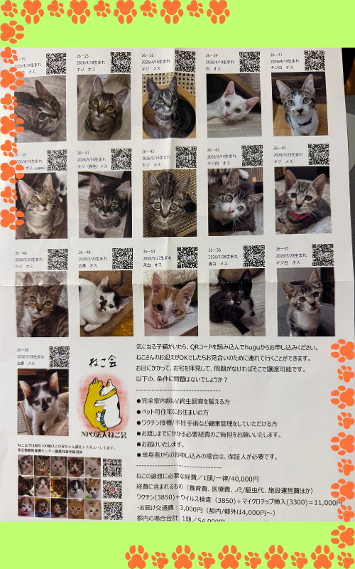 2匹の猫が抱き合うイラストが描かれた、NPO法人ねこ会のチラシ