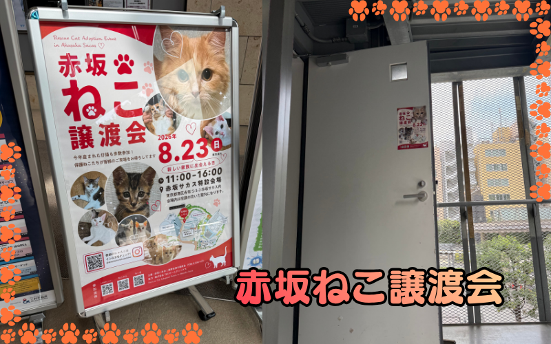 「赤坂ねこ譲渡会」のポスターが立てられた会場の入口