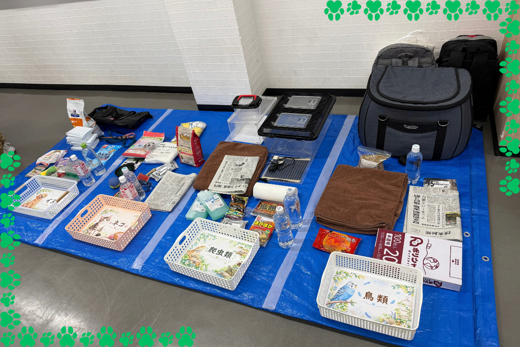 ブルーシートに並べられた防災備蓄品の展示。イヌ・ネコ・爬虫類・鳥類に分かれている