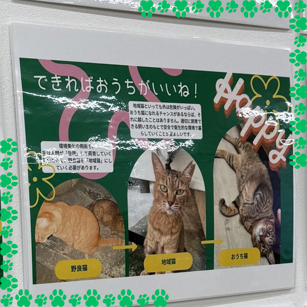 展示パネル「できればおうちがいいね!」。野良猫から地域猫、おうち猫への道すじ