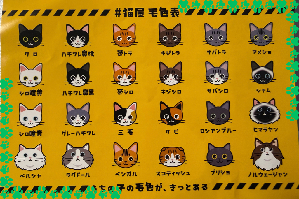 #猫屋の毛色表。24種類の毛柄から、うちの子に近いものを選べる