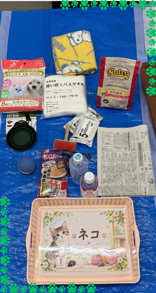 防災備蓄品の展示の「ネコ」の枠。ペットシーツ、折りたたみの食器、フード、水、新聞紙など