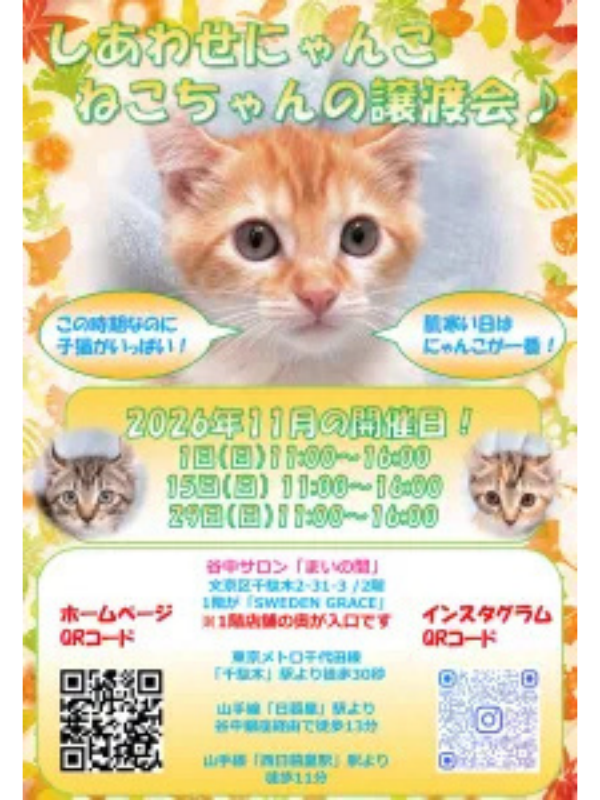しあわせにゃんこ ねこちゃんの譲渡会のチラシ。2026年11月の開催日は1日・15日・29日、11:00〜16:00、谷中サロン「まいの間」