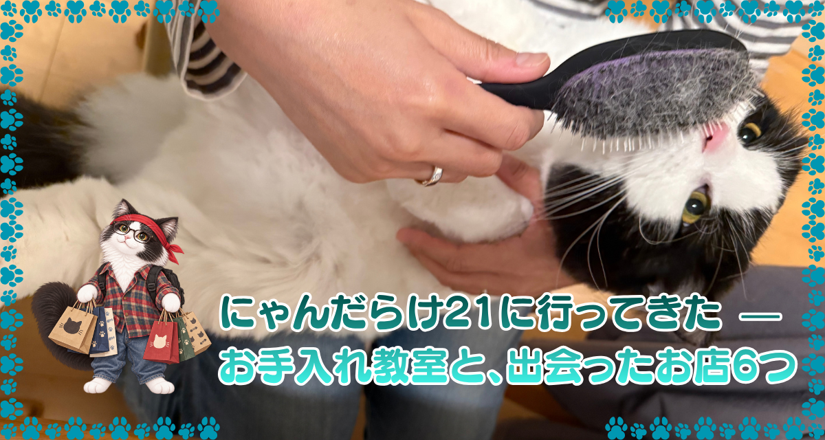 ブラッシングしてもらうオレオと、「にゃんだらけ21に行ってきた — お手入れ教室と、出会ったお店6つ」の文字