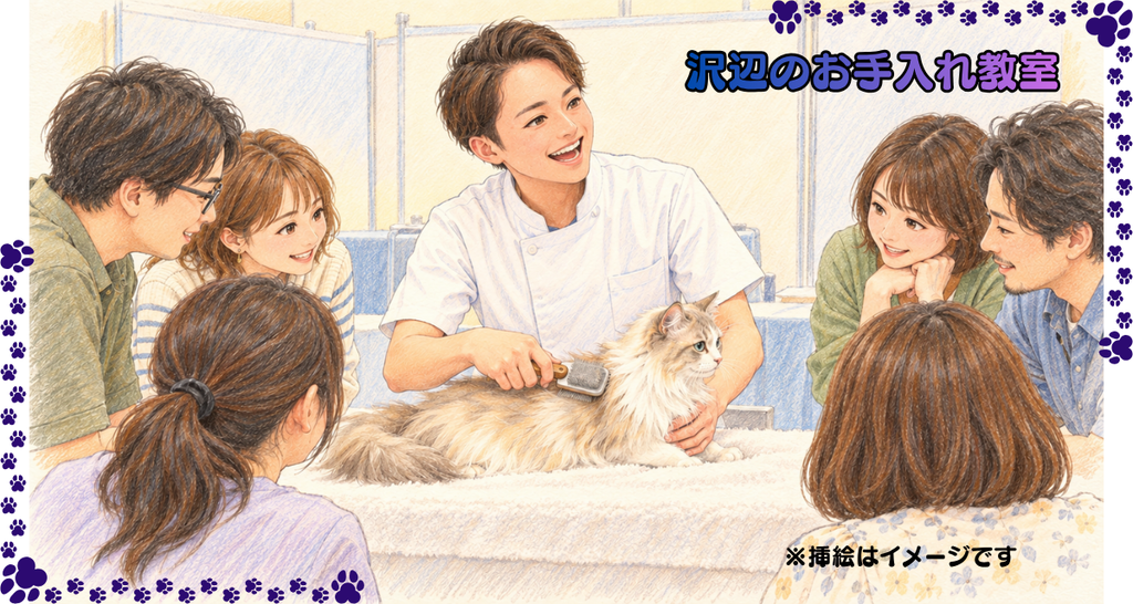 お手入れ教室のようすを描いたイメージの挿絵。講師がスリッカーブラシで長毛の猫をとかし、参加者が囲んで見ている