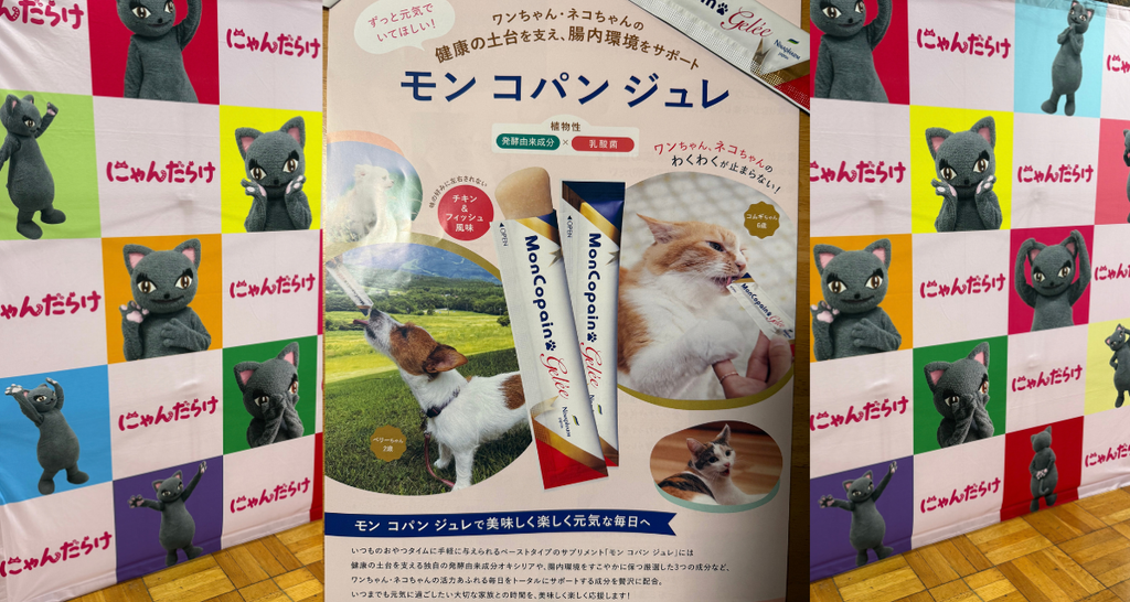 犬猫用サプリメント「モン コパン ジュレ」のチラシ